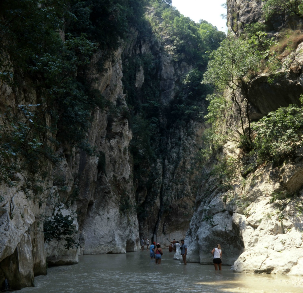 Axerontas color 2006